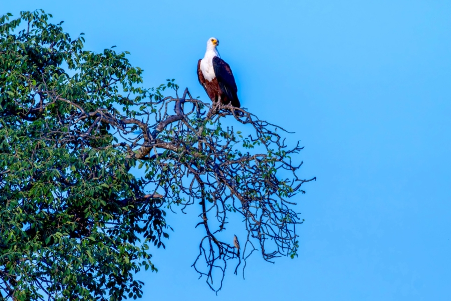 0 Bedroom Property for Sale in Cloudy Creek Free State